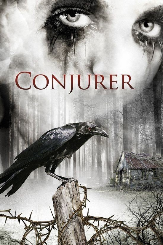 Conjurer.2008.1080p.BluRay.REMUX.MPEG-2.DD5.1-FGT