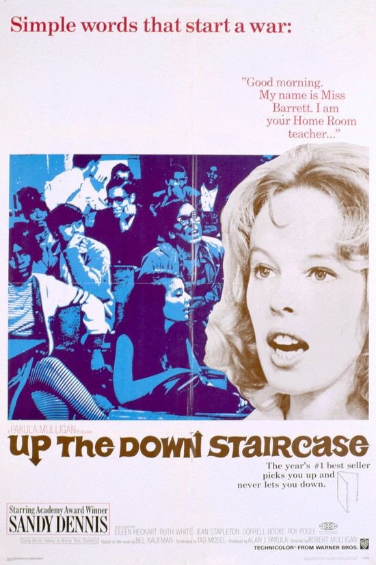 Up.the.Down.Staircase.1967.1080p.WEBRip.DD2.0.x264-SbR