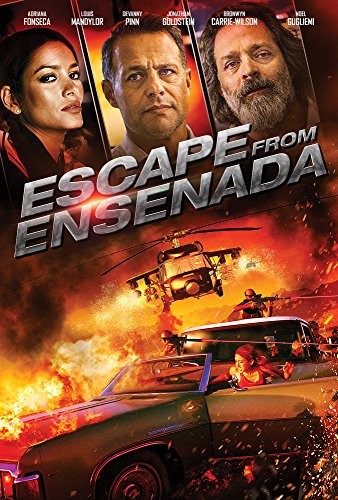 Escape.from.Ensenada.2017.1080p.BluRay.REMUX.AVC.DTS-HD.MA.5.1-FGT