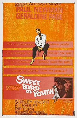 Sweet.Bird.of.Youth.1962.1080p.HDTV.x264-REGRET
