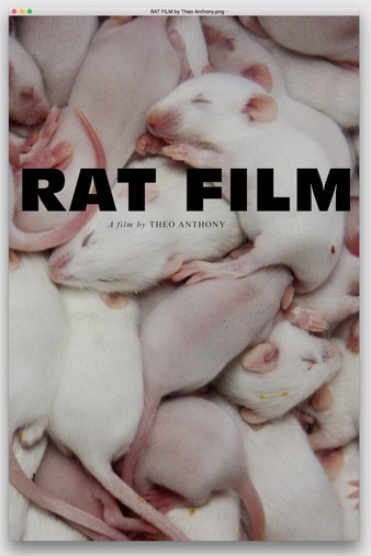 Rat.Film.2016.720p.HDTV.x264-W4F
