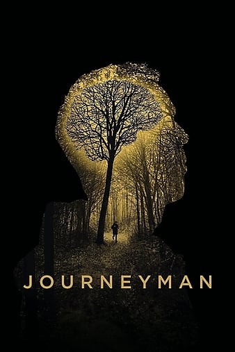 Journeyman.2017.LiMiTED.720p.BluRay.x264-CADAVER