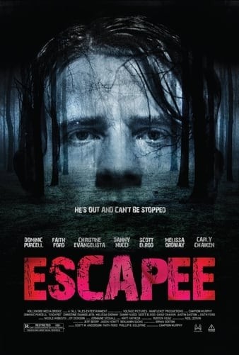 Escapee.2011.1080p.BluRay.X264-7SinS