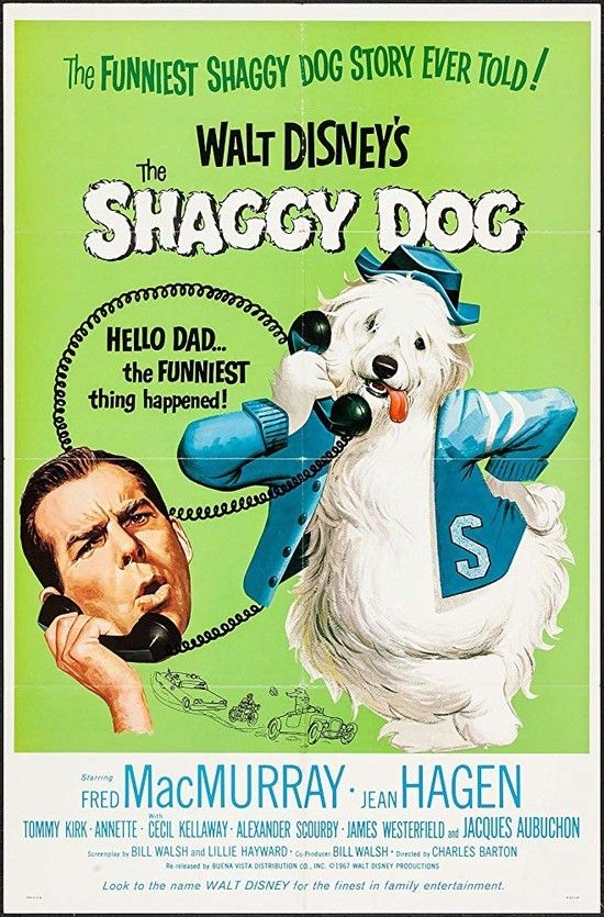 The.Shaggy.Dog.1959.1080p.AMZN.WEBRip.DDP2.0.x264-ABM