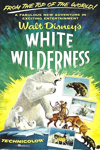 White.Wilderness.1958.1080p.AMZN.WEBRip.DDP2.0.x264-ABM
