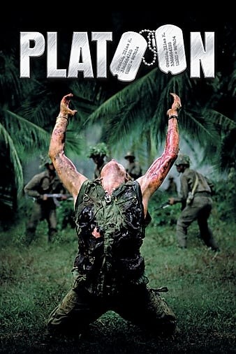 Platoon.1986.REMASTERED.1080p.BluRay.REMUX.AVC.DTS-HD.MA.5.1-FGT