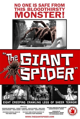 The.Giant.Spider.2013.720p.WEBRip.x264-iNTENSO