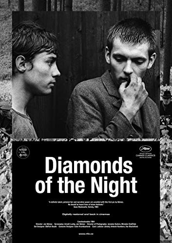 Diamonds.of.the.Night.1964.1080p.BluRay.x264-GHOULS